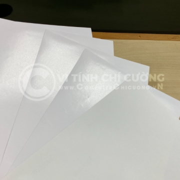 Decal Màng Tổng Hợp Trắng Mờ 75μm Keo Nóng – Đế Kraft
