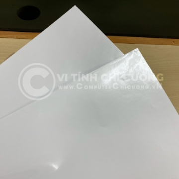 Decal PP Trong 50μm (Decal Trong) Có Lớp Phủ In – Keo Nóng, Đế Glassine